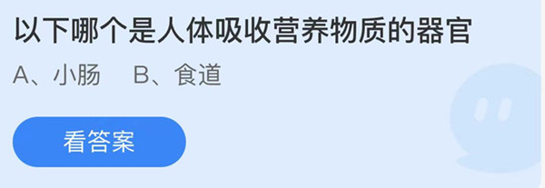 蚂蚁庄园：以下哪个是人体吸收营养物质的器官